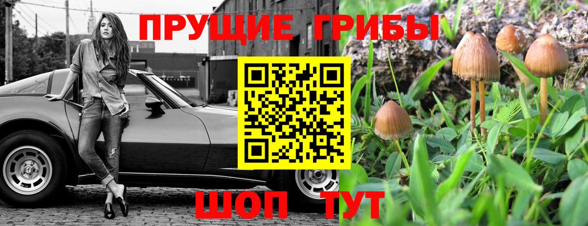 Галлюциногенные грибы Cubensis Добрянка