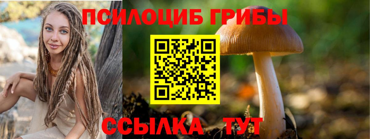 Галлюциногенные грибы мухоморы  Вход с VPN  Добрянка  Псилоцибиновые грибы Psilocybe 